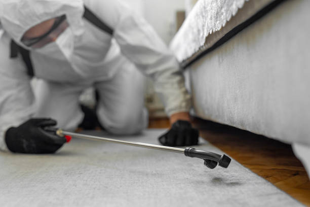 Professional Cockroach Control technician working in Amsterdam, NY